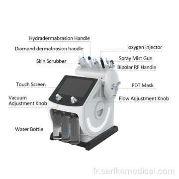 Dispositif d&#39;hydrodermabrasion de rajeunissement de la peau portable 7 en 1